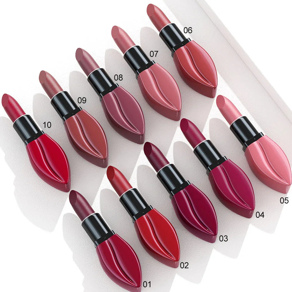 CmaaDu 10 Colors Long-Lasting Matte Lipstick Lip Stick with Rich Velvet Color and Waterproof Formula Valentine's Day Gifts