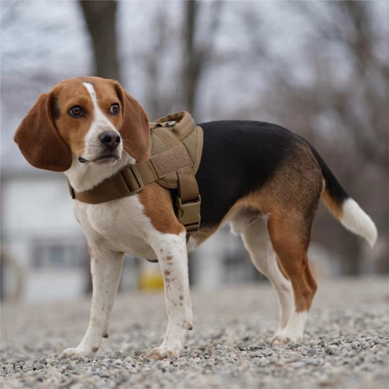 Dog Vest-style Harness Breathable Adjustable Pet Harness Anti-Pull Outdoor Harness